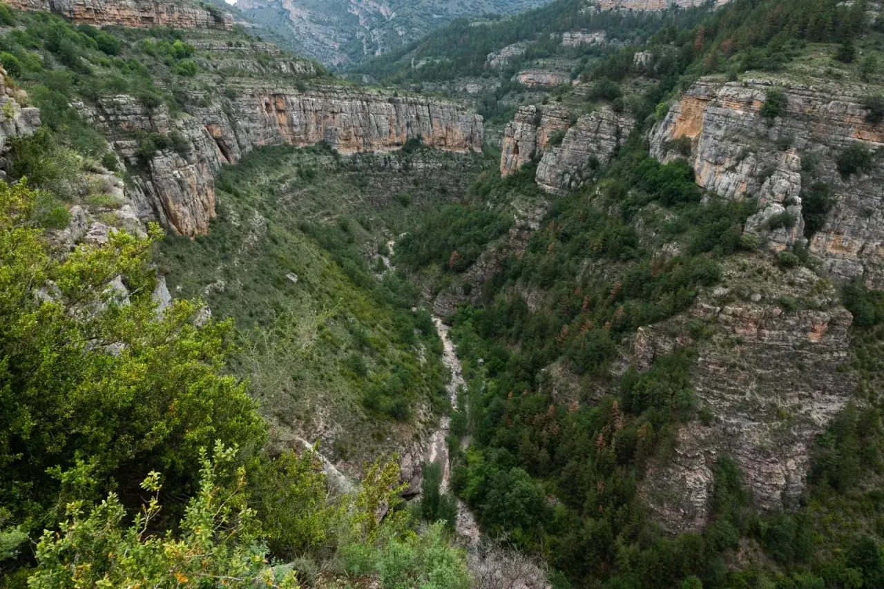 Impresionante cañón verde con paredes rocosas, ideal para rutas senderismo La Rioja. Un río seco serpentea entre la vegetación.