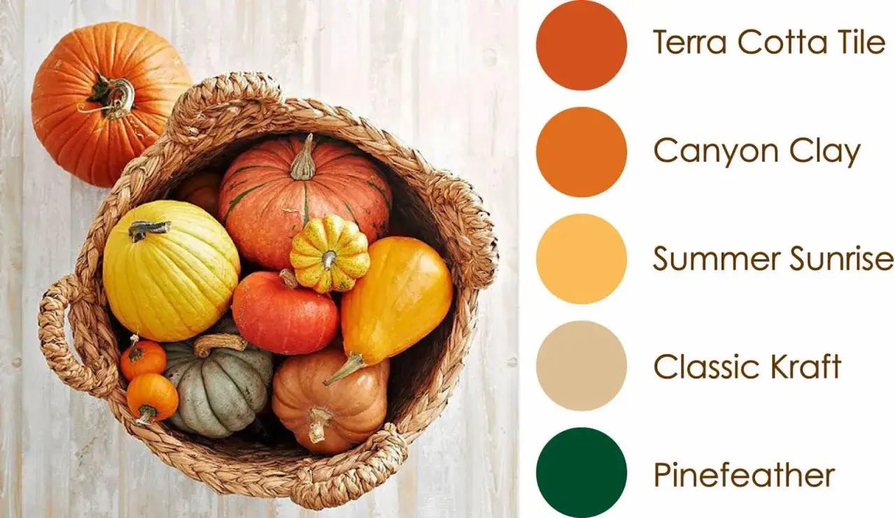 Panier rempli de citrouilles aux couleurs du mois de novembre : orange, jaune, vert et beige.