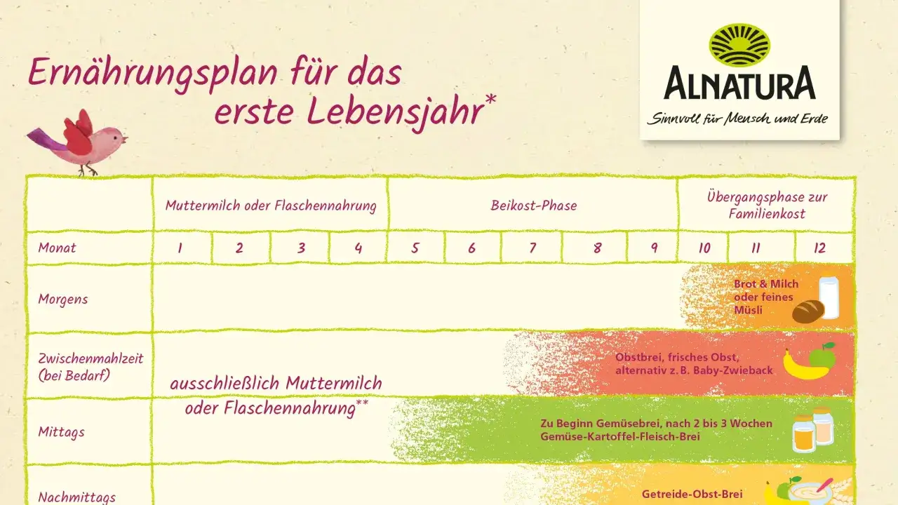 Ern&auml;hrungsplan f&uuml;r ein 8 Monate altes Baby: Von Muttermilch zu Beikost und Familienkost.