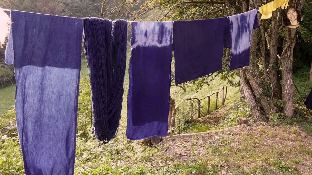 Des tissus et fils violets, résultat de teintures végétales, sèchent à l'air libre. Une femme souriante est visible dans un médaillon.