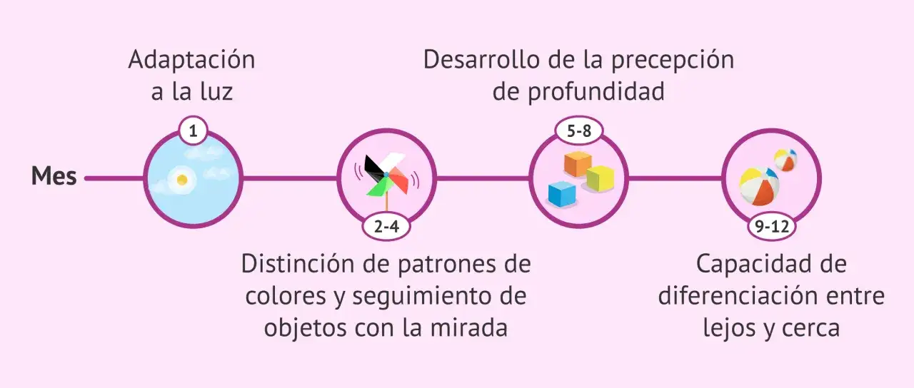 Evoluci&oacute;n visual del beb&eacute;: adaptaci&oacute;n a la luz (1 mes), distinci&oacute;n de patrones (2-4 meses), percepci&oacute;n de profundidad (5-8 meses) y diferenciaci&oacute;n de distancias (9-12 meses).