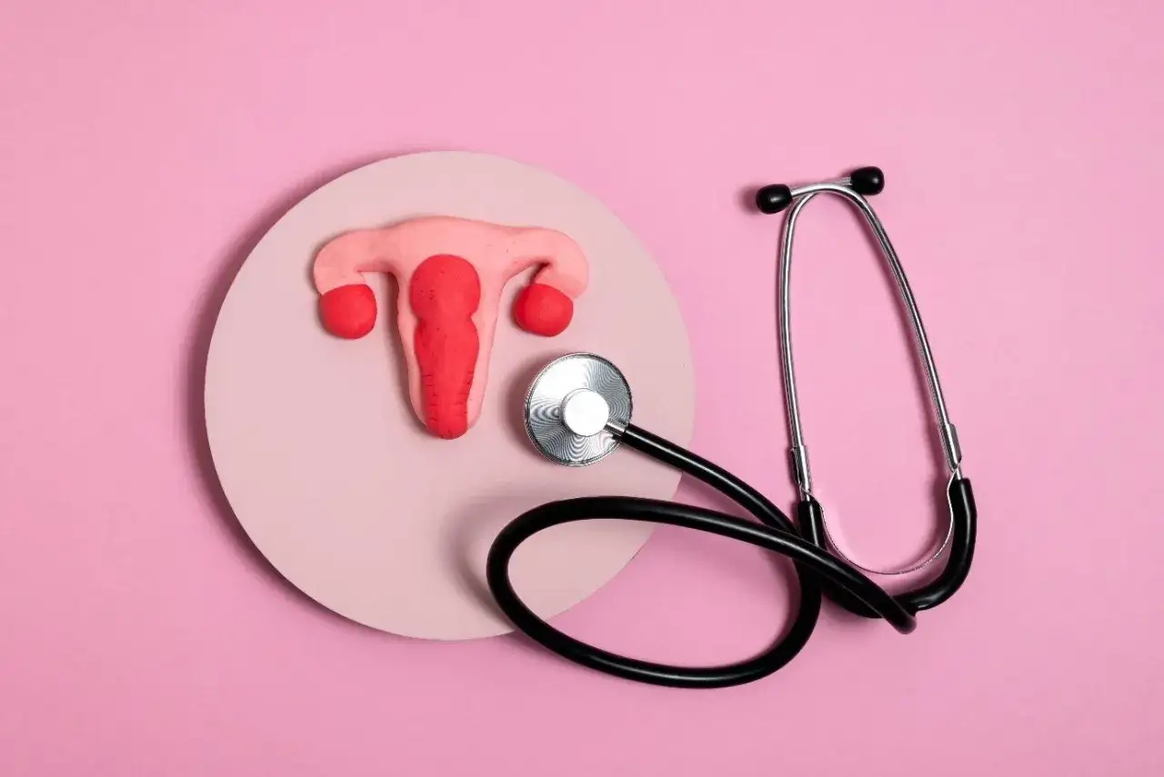 Model macicy i jajników obok stetoskopu, symbolizujące diagnostykę infekcji bakteryjnej pochwy.