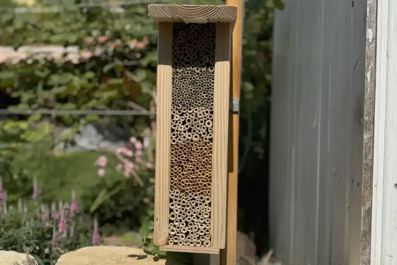 Ein selbstgebautes Insektenhotel aus Holz und Bambusr&ouml;hren bietet Unterschlupf f&uuml;r n&uuml;tzliche Tiere im Garten.