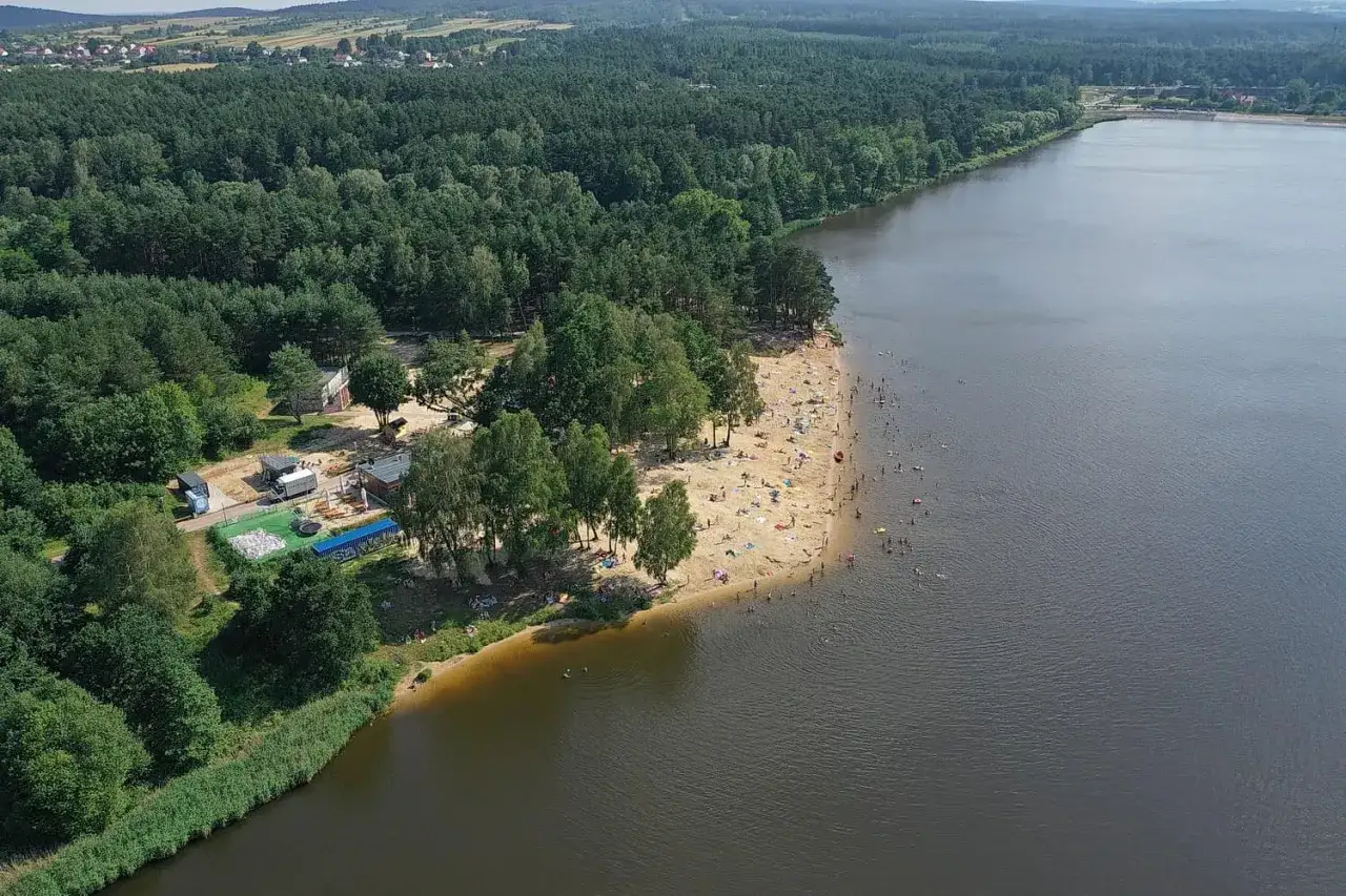 Zalew Cedzyna tętni życiem. Tłumy plażowiczów odpoczywają na piasku i kąpią się w wodzie, otoczeni zielonym lasem.