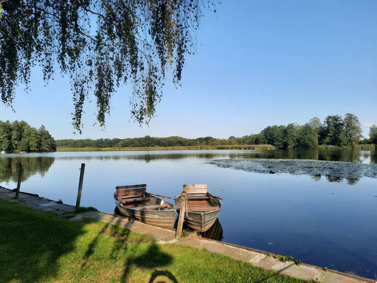 Zwei Ruderboote liegen am Ufer des Schwaigfurter Weihers. Überhängende Äste spenden Schatten.