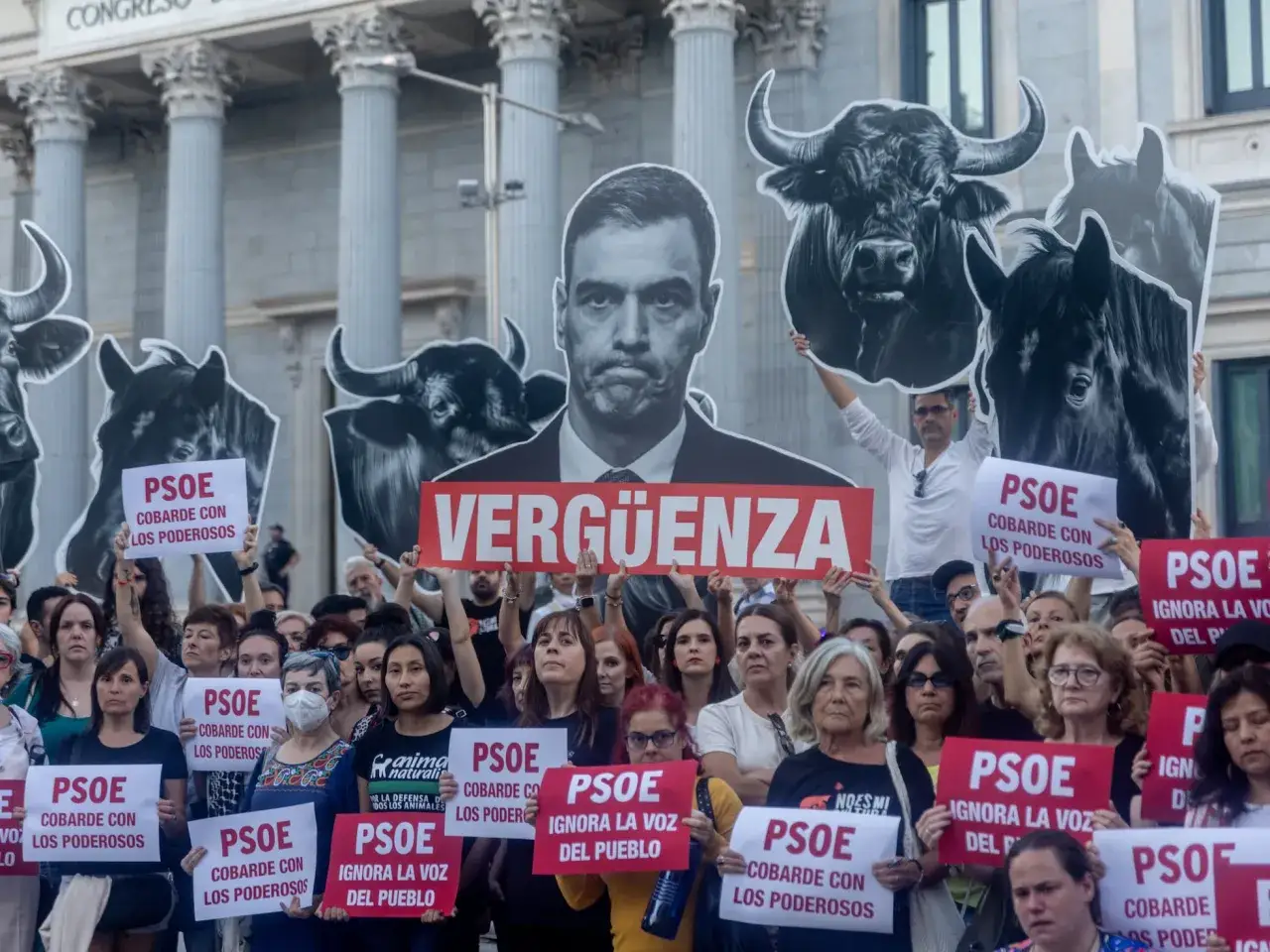 Manifestantes protestan frente al Congreso con carteles de toros y un retrato de Pedro S&aacute;nchez. 