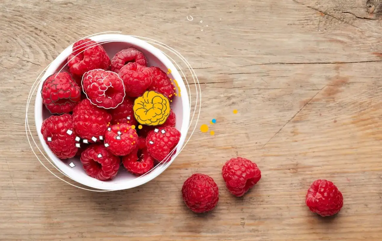 Ein Hund tr&auml;umt von saftigen Himbeeren. Eine Sch&uuml;ssel voller roter Himbeeren liegt auf einem Holztisch.