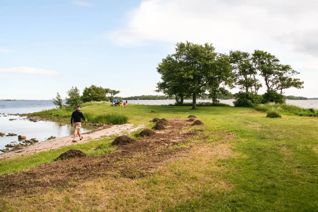 Man promenerar l&auml;ngs stranden i Riddersholms naturreservat. En familj picknickar i gr&auml;set vid vattnet.