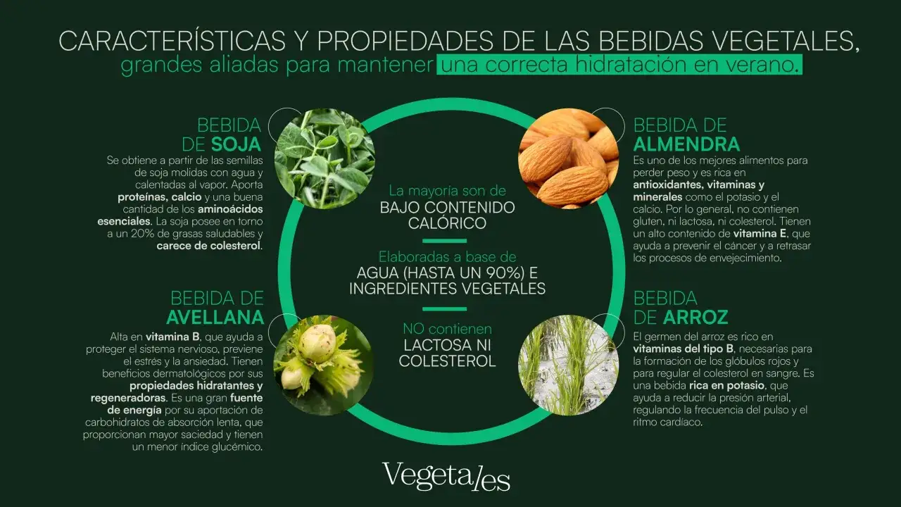 Infograf&iacute;a sobre tipos de leches vegetales: soja, almendra, avellana y arroz, destacando sus propiedades y beneficios.