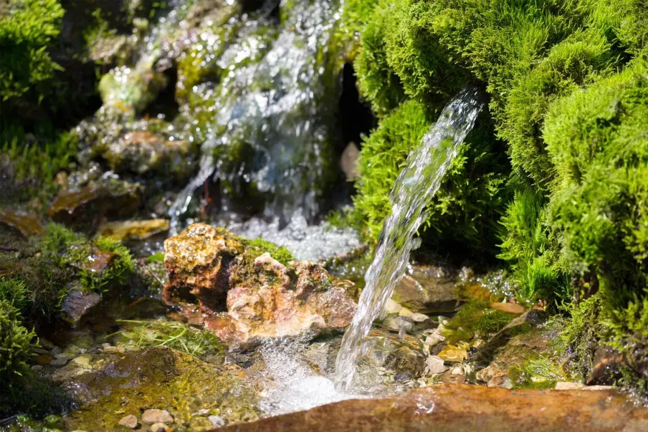 Klares Quellwasser sprudelt aus sattgr&uuml;nem Moos. Man kann quellwasser trinken, es ist rein und erfrischend.