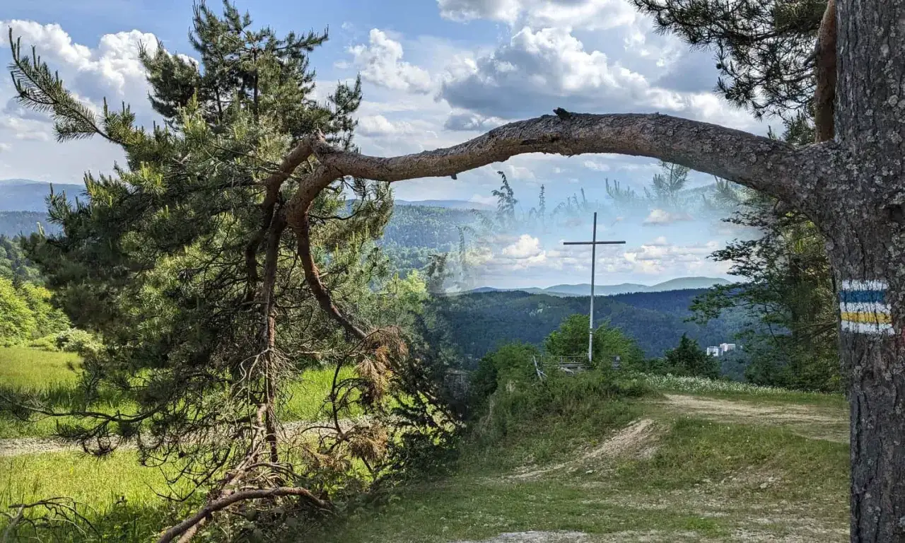 Widok na górzystą panoramę z krzyżem na szczycie. Złamana gałąź sosny tworzy ramę dla krajobrazu.