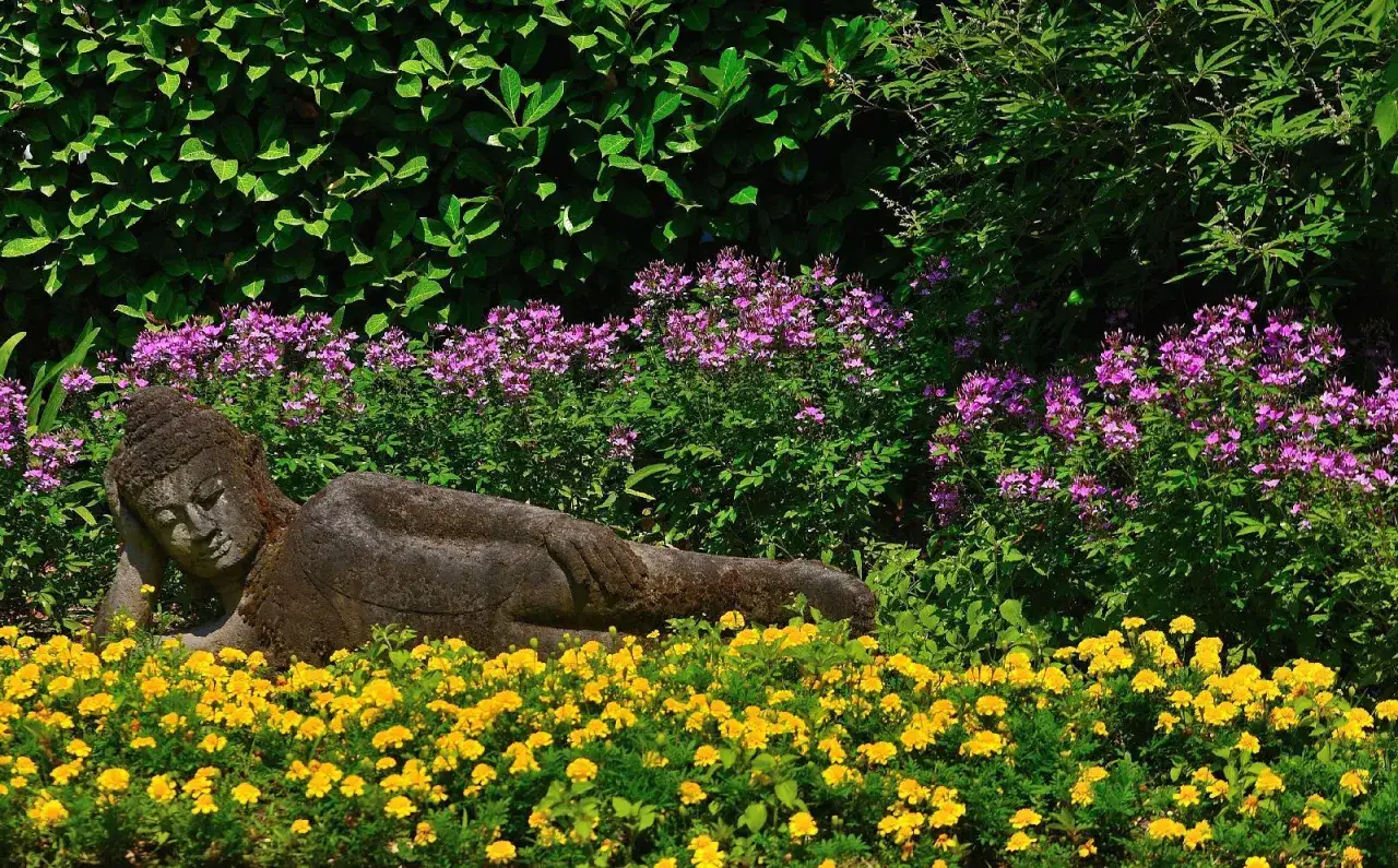 Statua di Buddha reclinato tra fiori gialli e viola nel giardino botanico Gardone Riviera.