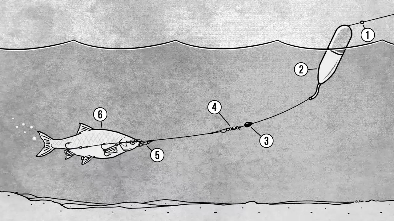 Ein K&ouml;derfisch (6) wird mit einer Pose (2) und einem Gewicht (3) pr&auml;sentiert. Die Pose zeigt an, wie tief der K&ouml;der schwimmt, ideal f&uuml;r die Jagd auf Hecht.