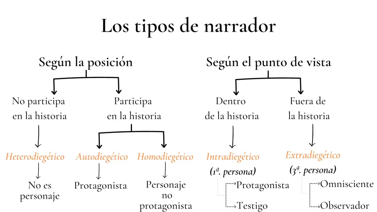 Diagrama de tipos de narrador: seg&uacute;n posici&oacute;n (no participa, participa) y punto de vista (dentro, fuera de la historia). El narrador puede ser heterodieg&eacute;tico, autodieg&eacute;tico, homodieg&eacute;tico, intradieg&eacute;tico o extradieg&eacute;tico.