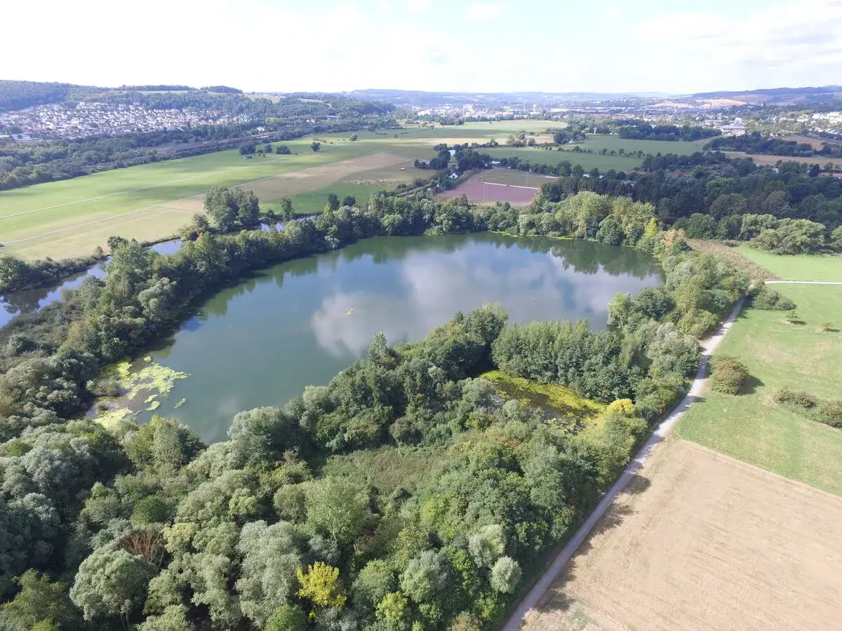 Luftaufnahme des Schwerborner Sees, umgeben von &uuml;ppiger Vegetation und Feldern. Im Hintergrund erstreckt sich eine Stadtlandschaft.