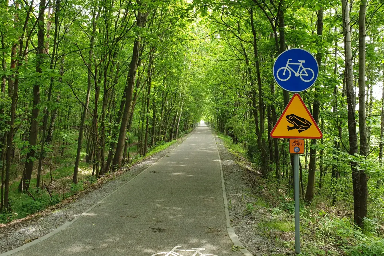 Znak rowerowy i ostrzegawczy z żabą na leśnym szlaku. Idealne miejsce, by zacząć przygodę na żelaznym szlaku rowerowym.
