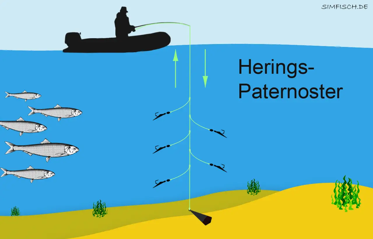 Silhouette eines Anglers im Boot, der mit einer Schnur und einem Hering-Paternoster angelt. Mehrere Heringe schwimmen im blauen Wasser.