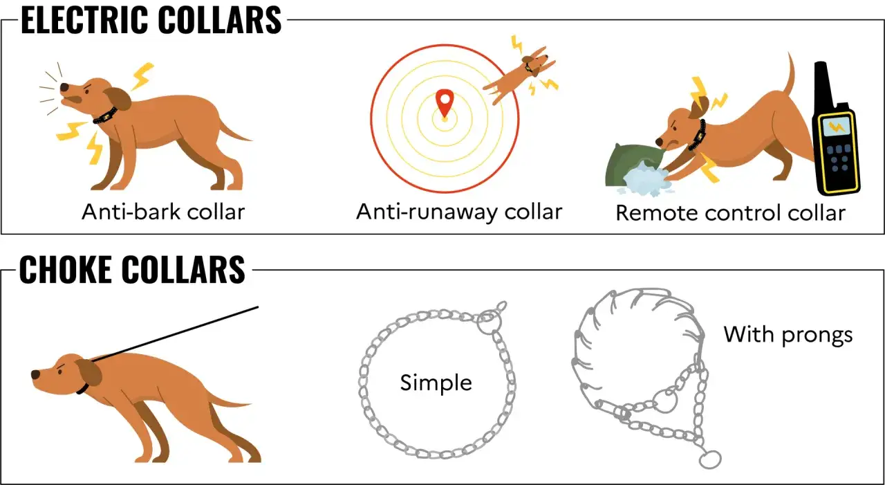 Illustration de colliers pour chiens : &eacute;lectriques (anti-aboiement, anti-fugue, t&eacute;l&eacute;command&eacute;) et &eacute;trangleurs, dont un collier &eacute;trangleur cha&icirc;ne simple.