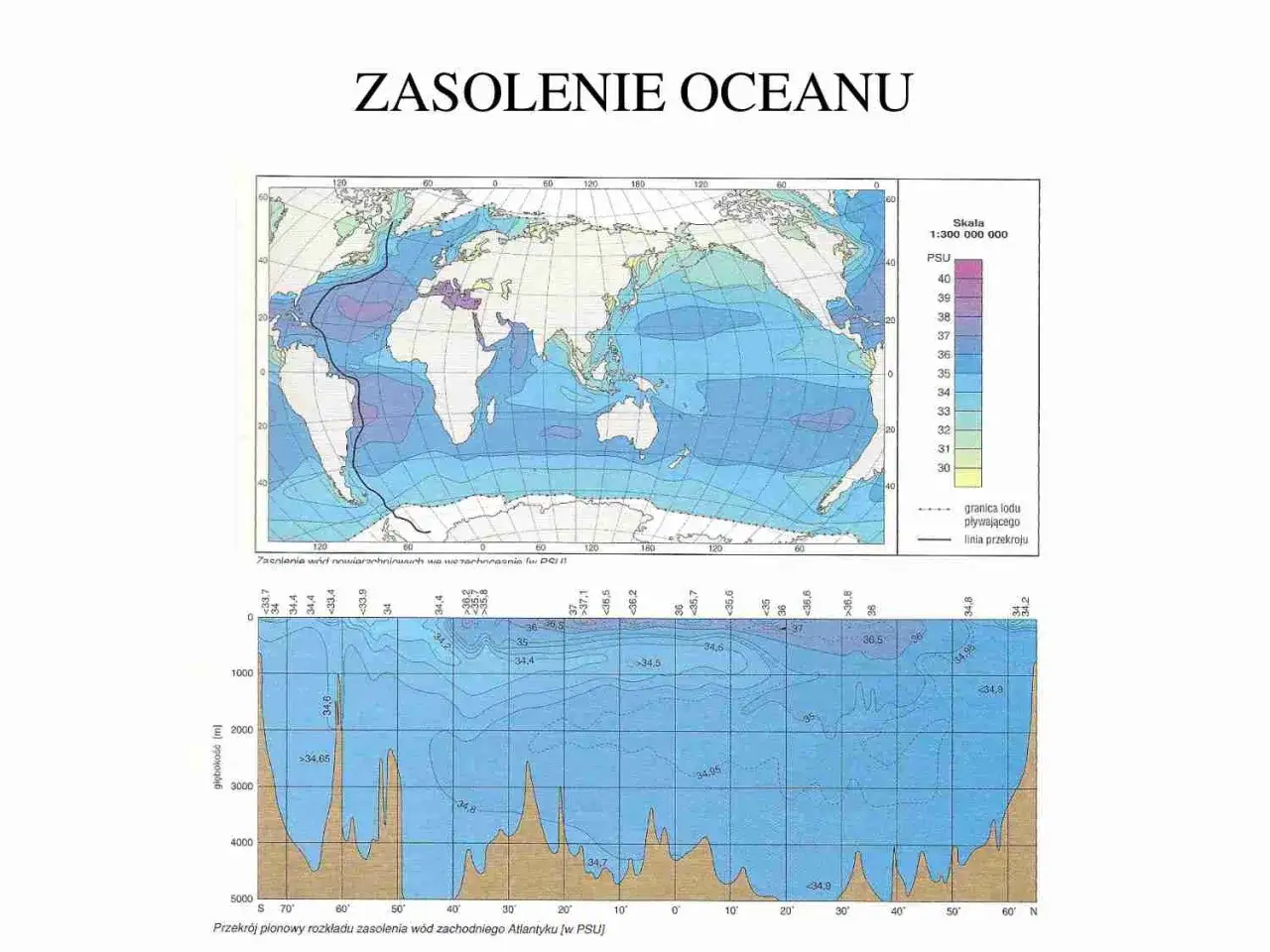 Mapa zasolenia oceanów. Kolory wskazują zasolenie w PSU. Widać, że morza są bardziej słone niż ocean.
