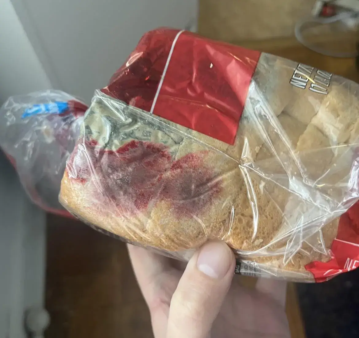 R&oacute;żowa, pomarańczowa, zielona pleśń na zakwasie chlebowym