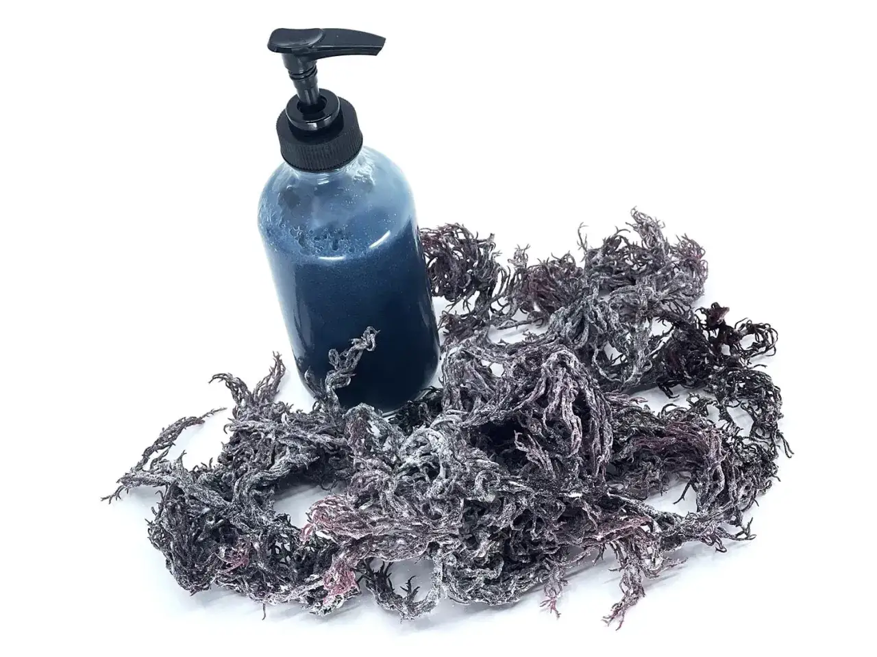 Dunkelblaue Fl&uuml;ssigkeit in einer Spenderflasche neben einem Haufen getrocknetem Chondrus crispus.