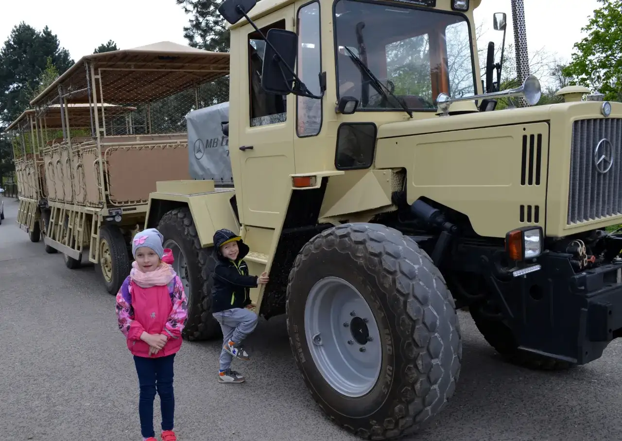 Dzieci pozują przy pojeździe safari w Świerkocinie. Ogromne opony i otwarta przyczepa zapowiadają ekscytującą wycieczkę.