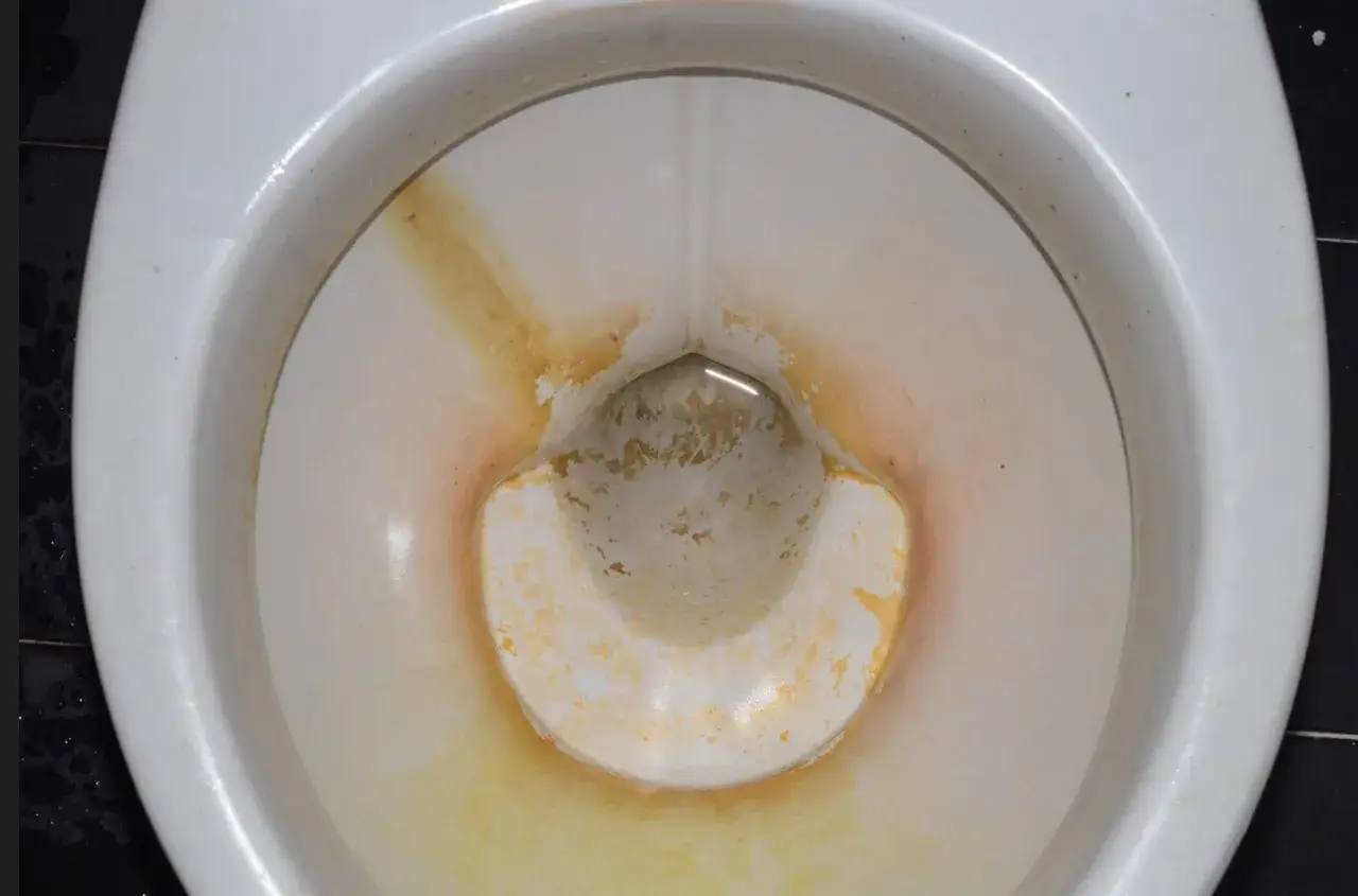 Interno di un water con macchie gialle e arancioni. Guida su come togliere il giallo dal water per un risultato brillante.