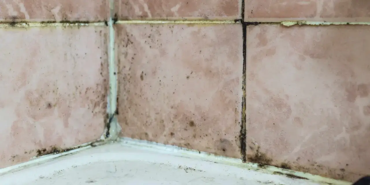 Carrelage rose d&eacute;coll&eacute; et tach&eacute; par l'humidit&eacute;, formant des traces de moisissure noires et jaun&acirc;tres dans les joints.
