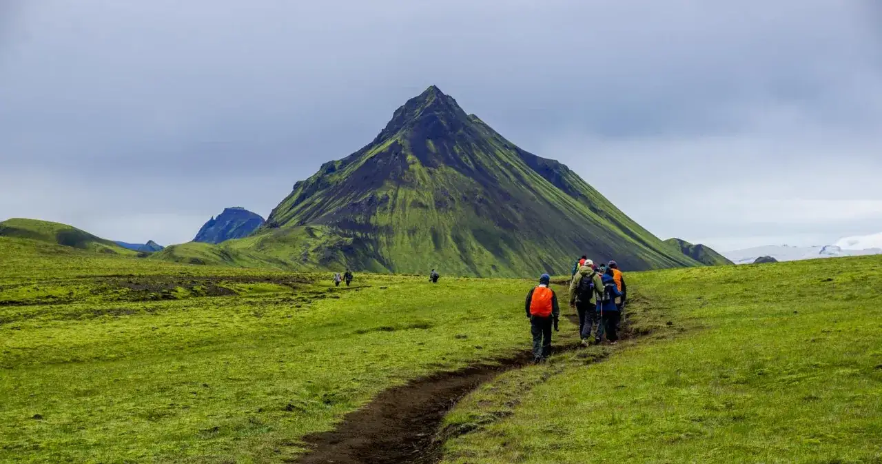 Grupa turystów wędruje po zielonych wzgórzach Islandii. Porównując różnicę między trekkingiem na Grenlandii a Islandii koszty, ta druga oferuje malownicze krajobrazy.