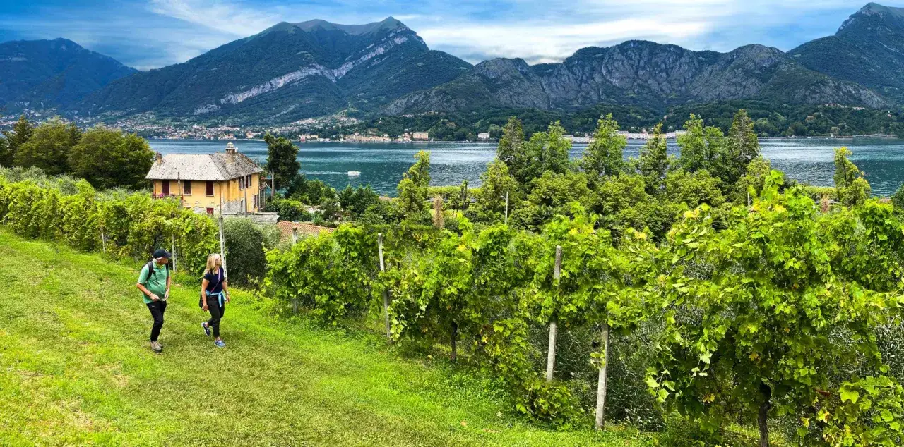 Tv&aring; vandrare g&aring;r genom en ving&aring;rd med en gul villa och en sj&ouml; i bakgrunden, en vacker vy &ouml;ver norra Italien.