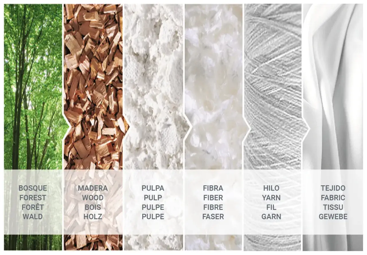 De la for&ecirc;t &agrave; la fibre artificielle : bois, pulpe, fil et tissu.