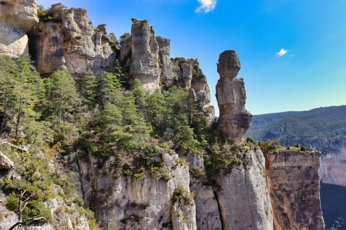 Majestueuses falaises rocheuses et pins verts dans les gorges de la Jonte, sous un ciel bleu éclatant.