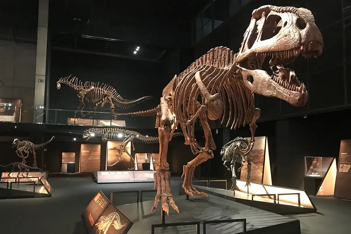 Esqueletos de dinosaurios en una **exposición de dinosaurios en Madrid**. Destaca un gran Tiranosaurio Rex en primer plano.