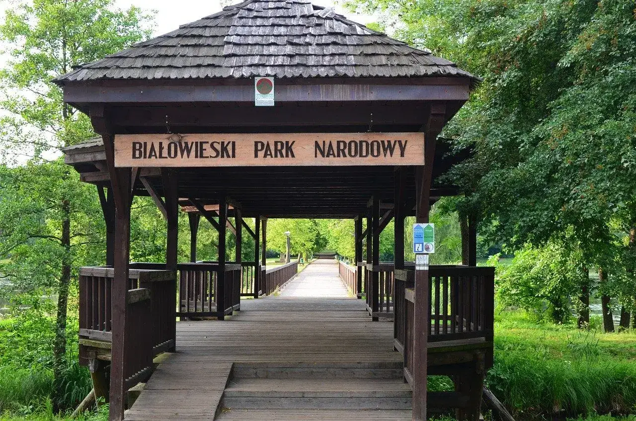 Drewniana kładka prowadzi do Białowieskiego Parku Narodowego. Idealne miejsce na zaplanowanie zwiedzania.