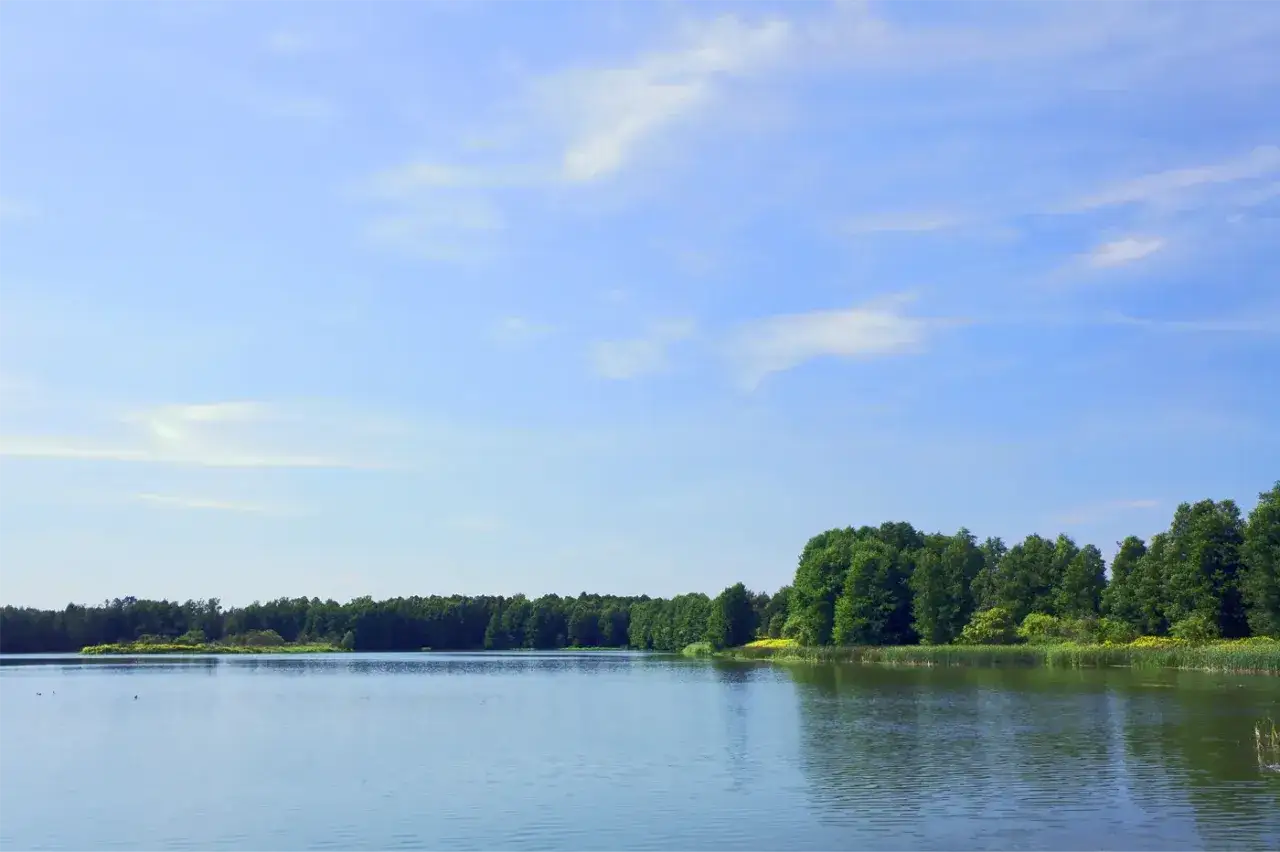 Spokojne jezioro otoczone gęstym lasem, z daleka widać niewielką wysepkę. To krajobraz przypominający najwyższy szczyt Wielkopolski.