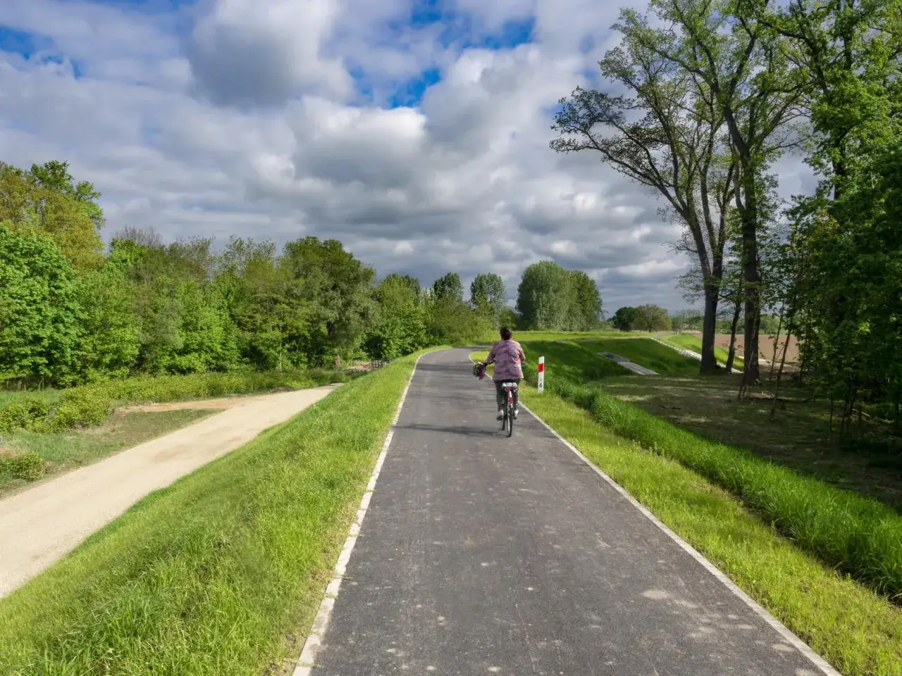 Kobieta na rowerze przemierza malownicze trasy rowerowe opolskie, otoczona zielenią i chmurami na niebie.