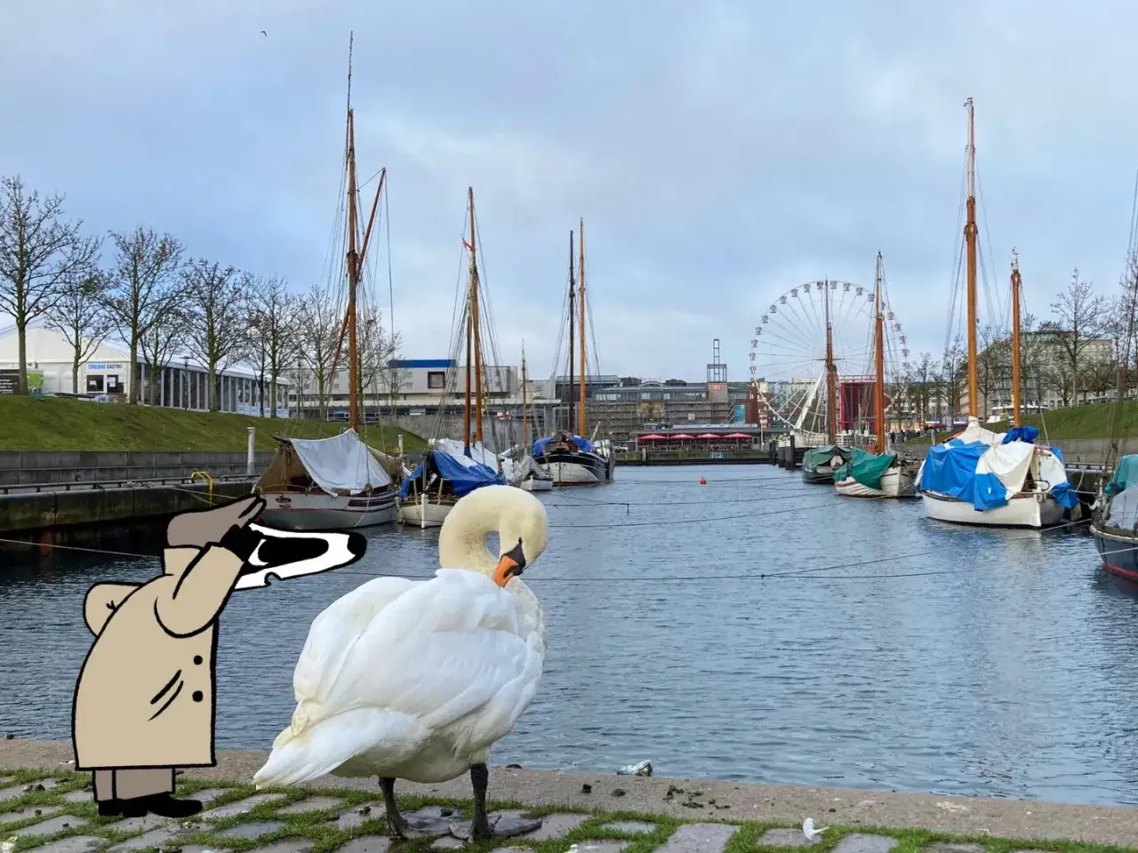 Ein Comic-Dachs gr&uuml;&szlig;t einen Schwan im Hafen. Ein tolles Ausflugsziel mit Kindern in Kappeln, mit Segelbooten und Riesenrad.