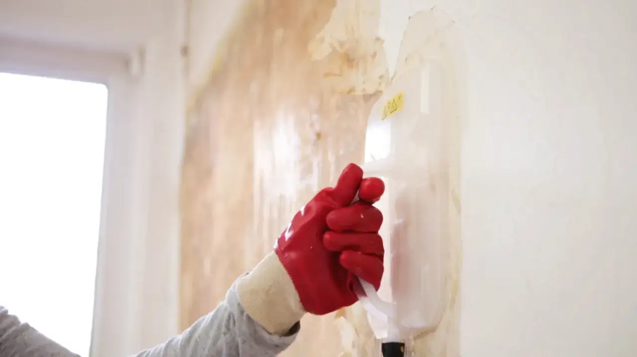 Main tenant en gant rouge utilise un appareil pour d&eacute;coller papier peint. La vapeur ramollit la vieille tapisserie.