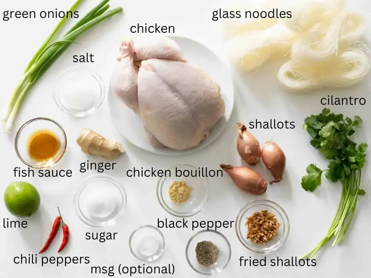 Zutaten f&uuml;r Pho Ga: Huhn, Glasnudeln, Fr&uuml;hlingszwiebeln, Koriander, Ingwer, Fischsauce, Limette, Chili, Schalotten, Salz, Zucker, Pfeffer, H&uuml;hnerbr&uuml;he, ger&ouml;stete Schalotten.