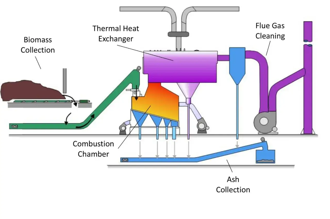 Diagrama ilustra cómo funciona la biomasa: recolección, combustión, intercambio de calor, limpieza de gases y recolección de cenizas.