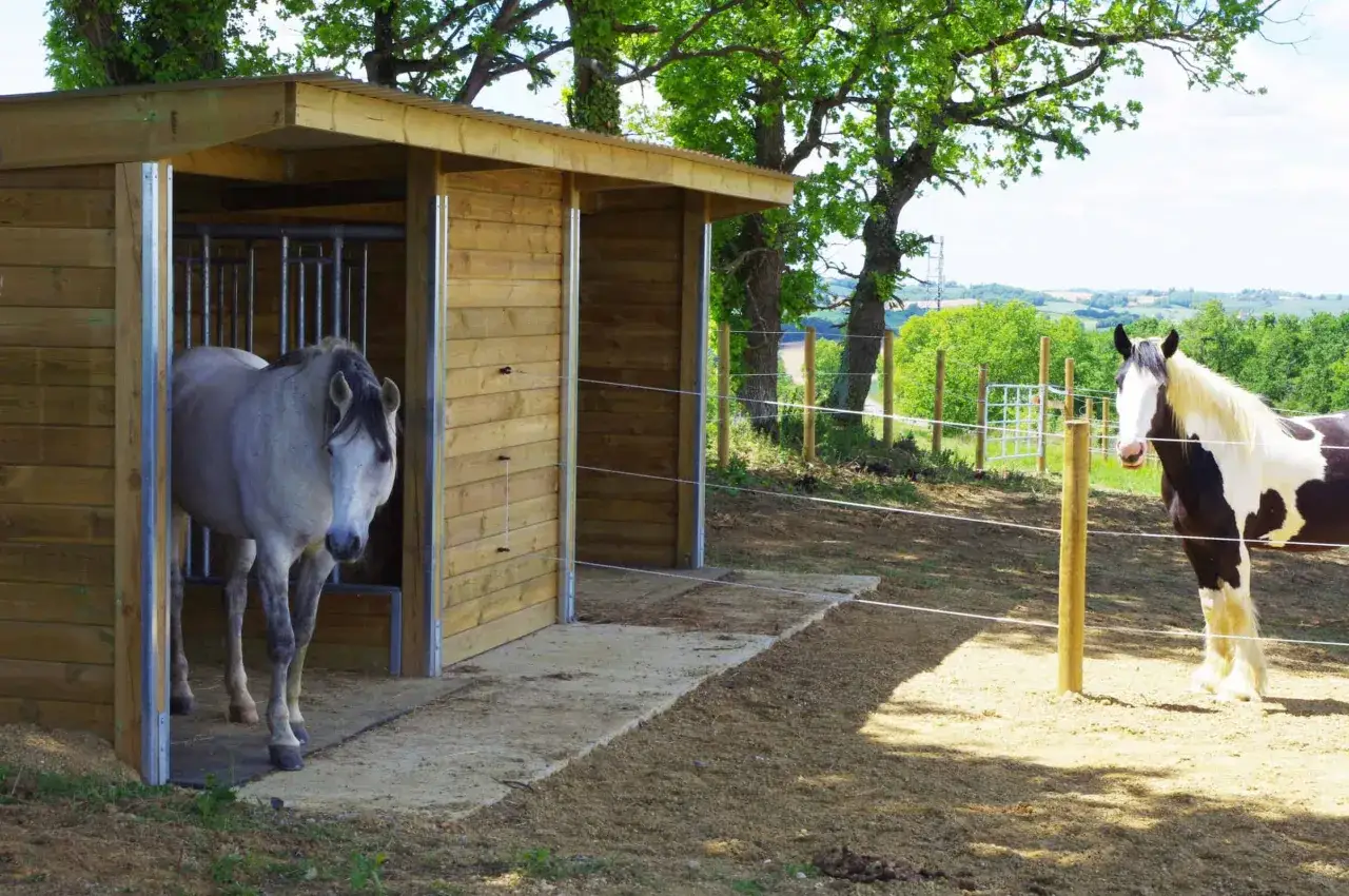 Un cheval gris se tient dans un abri en bois, tandis qu'un cheval pie est dans le pr&eacute;. Id&eacute;al pour une pension pr&eacute; cheval.