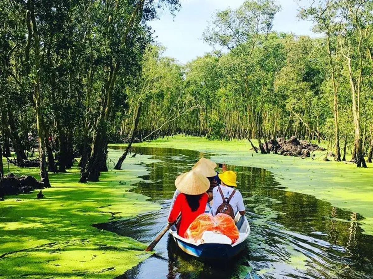Bootsfahrt durch den üppig grünen Mekong Delta, vorbei an Mangrovenwäldern und bedeckten Wasserwegen.