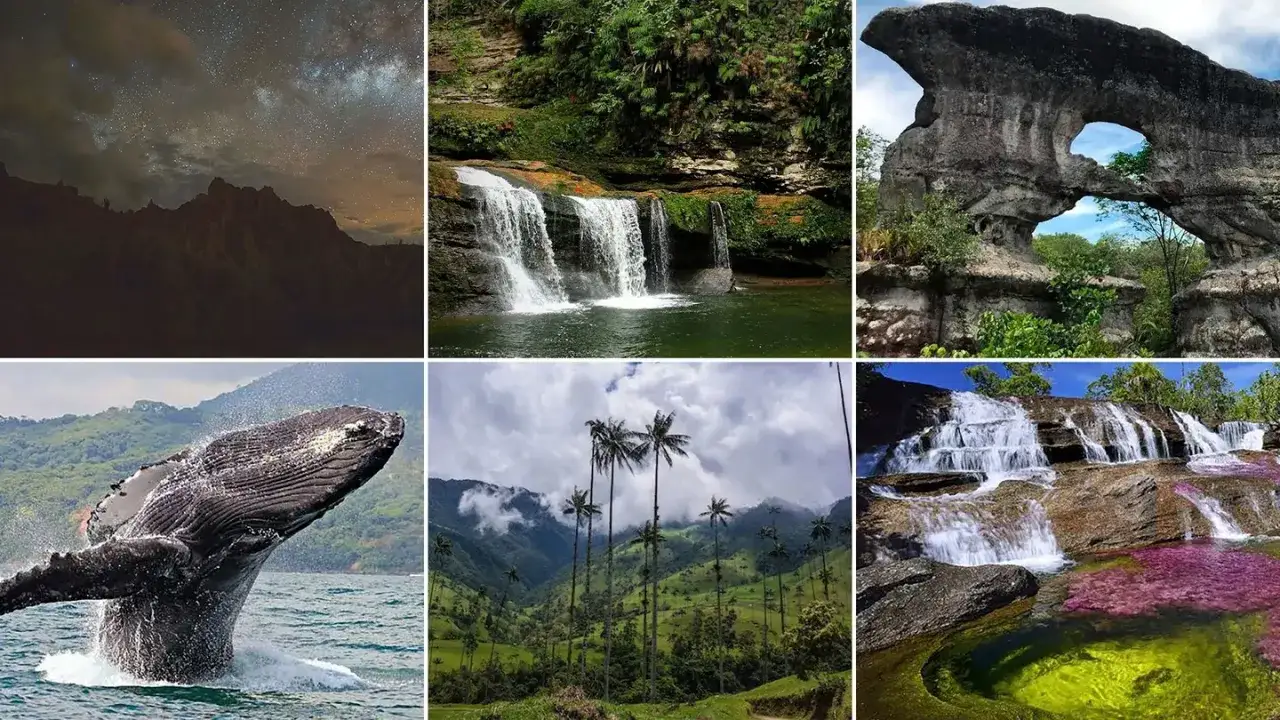 Fakta om Colombia: Stjärnhimmel, vattenfall, valar, palmer och färgstarka floder visar Colombias mångfald.