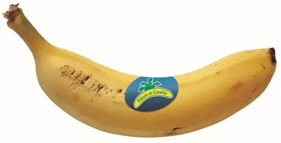 Plátano de Canarias