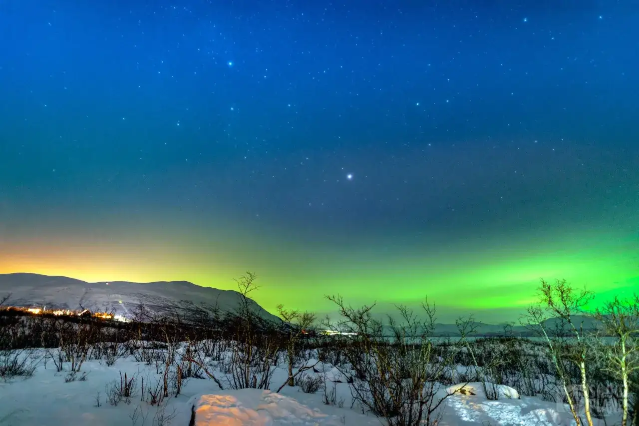 Ciel étoilé et aurores boréales vertes au-dessus d'un paysage enneigé. Parfait pour savoir quand partir en Laponie.
