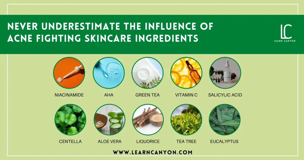 Hautpflege-Inhaltsstoffe für zu Akne neigende Haut: Niacinamid, AHA, Grüner Tee, Vitamin C, Salicylsäure, Centella, Aloe Vera, Süßholz, Teebaum, Eukalyptus.
