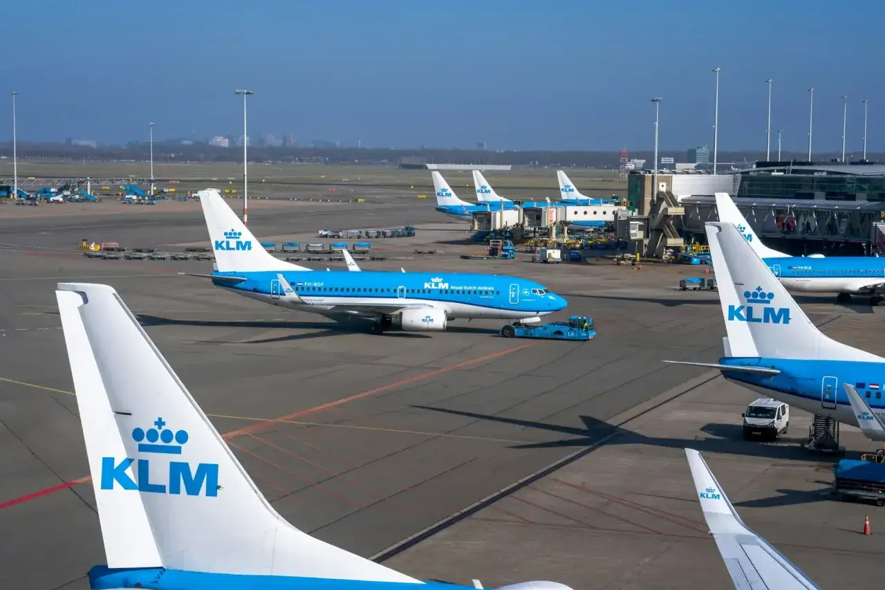 Samoloty linii KLM na płycie lotniska. W tle widać inne maszyny i budynki terminalu.
