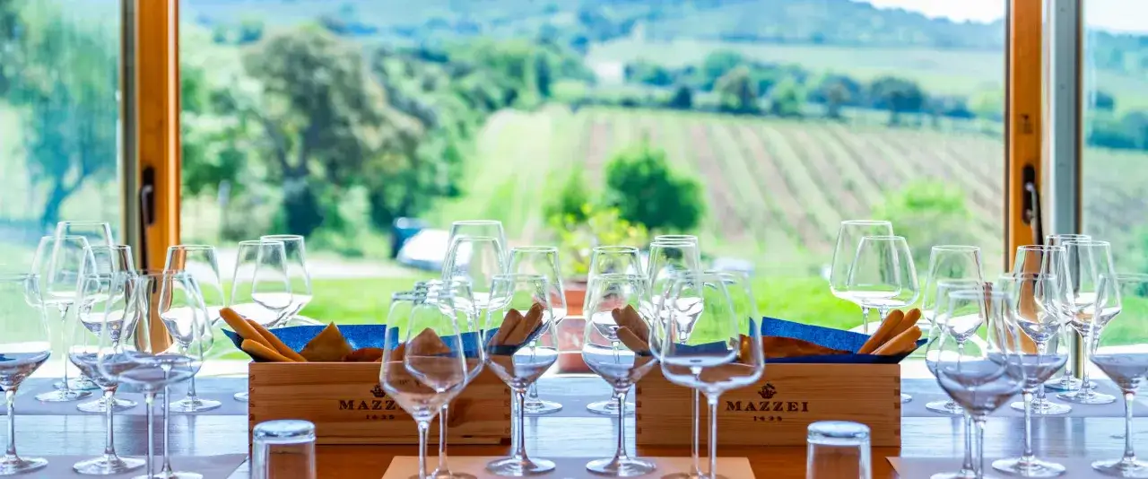 Bicchieri pronti per una degustazione vini Maremma, con grissini e vista sui vigneti.