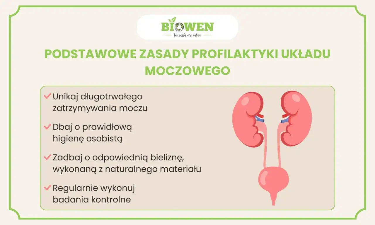 Ilustracja przedstawia podstawowe zasady profilaktyki układu moczowego: unikanie zatrzymywania moczu, higiena, odpowiednia bielizna i badania kontrolne.