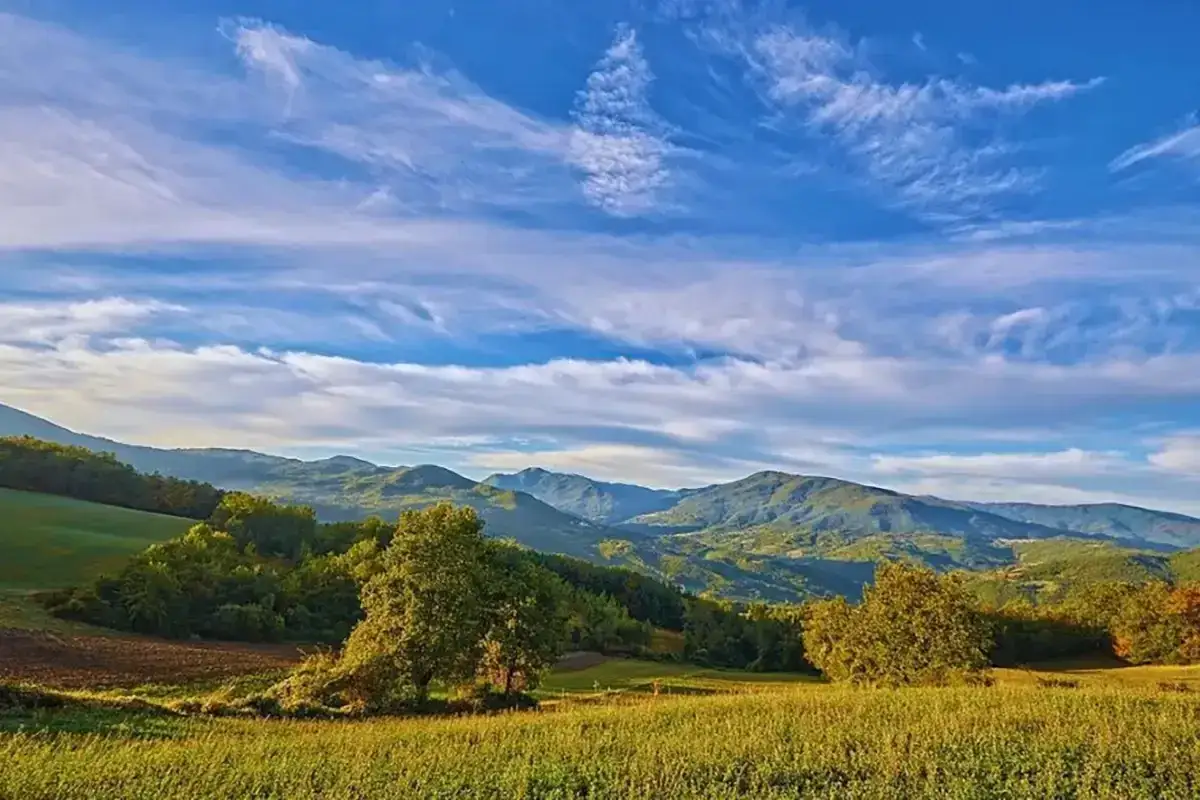 Valli verdi e dolci colline nella Staffora Valley, con alberi rigogliosi e un cielo azzurro solcato da nuvole bianche.